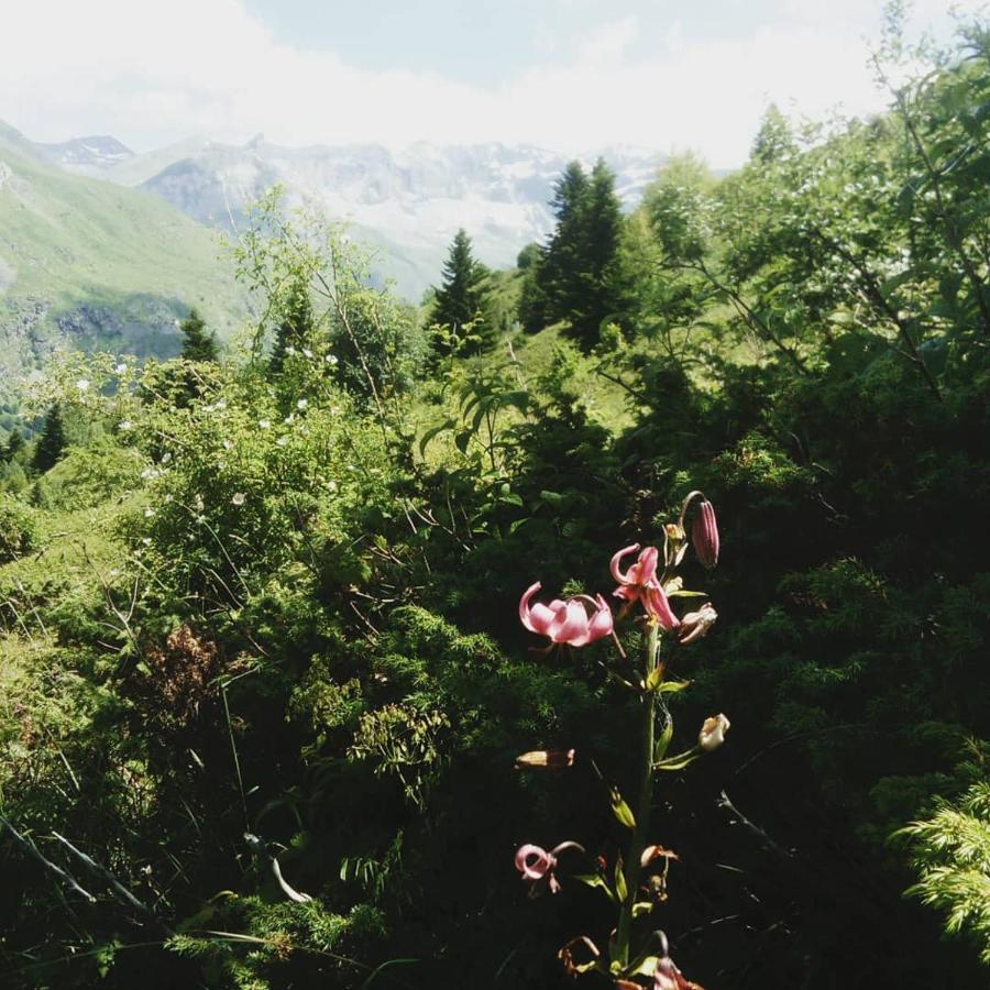 Apartmán L'Espugue Gèdre Exteriér fotografie